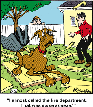 marmaduke